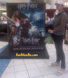 harry potter and syngkit