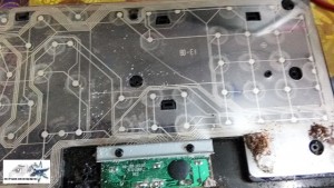 keyboard attacked by ants