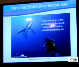 SaveThresherTala Thresher Shark by Hitokirihoshi